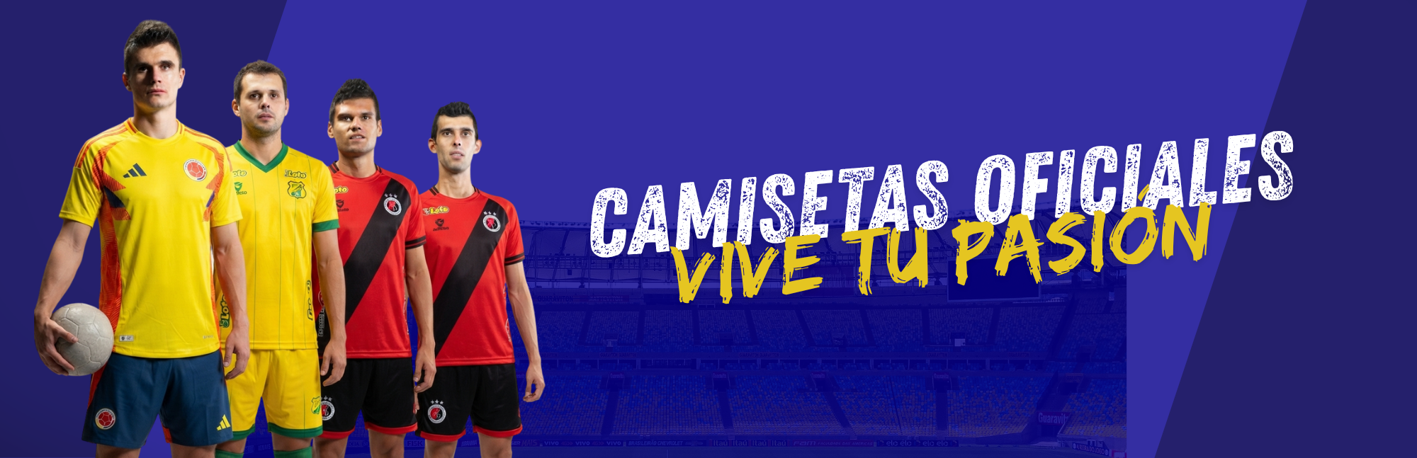 Camisetas DAM